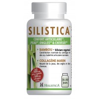 SILISTICA 100 G&eacute;lules