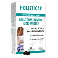 HOLISTICAP