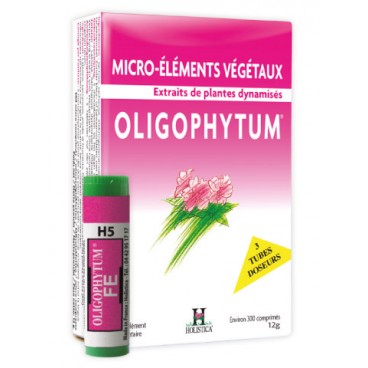 OLIGOPHYTUM OLIGOPHYTUM